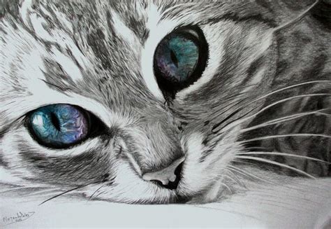 Dibujos De Gatos A L Piz S Lo Para Amantes De Los Gatitos