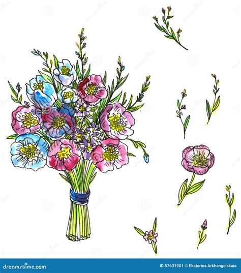 Bouquet De Dessin D Aquarelle Des Fleurs Illustration Stock