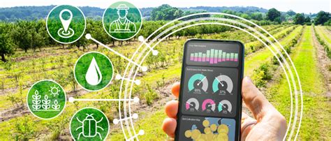 Agritechthe Future Of Agriculture Technology