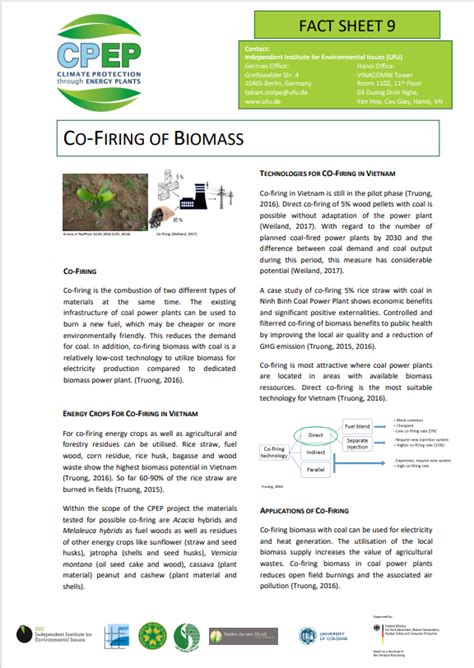 Co Firing Of Biomass International Climate Initiative Iki In Viet Nam