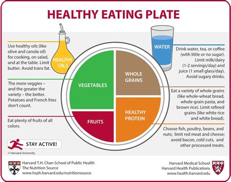 Best Nutrition Infographics On Healthy Eating Portion Size Hydration