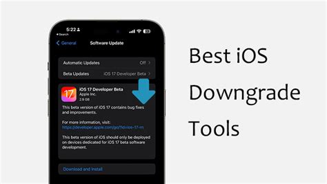 Top Ios Downgrade Tools Ios Supported