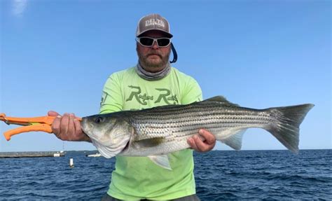 Santee Striper Fishing Report Carolina Sportsman