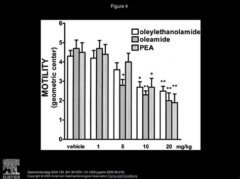 Fatty Acid Amide Hydrolase Controls Mouse Intestinal Motility In Vivo