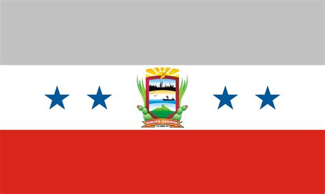 Banderas Locales Municipales Y Parroquiales Venezolanas Banderas