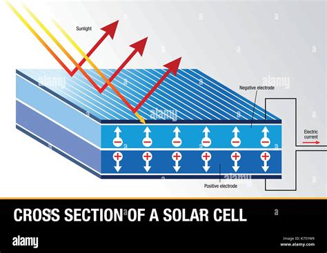 Cross Section Of A Solar Cell Renewable Energy Vector Image Stock