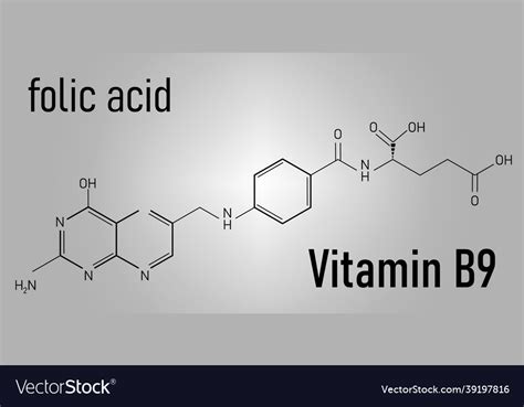 Vitamin B9 Folic Acid Molecule Skeletal Formula Vector Image