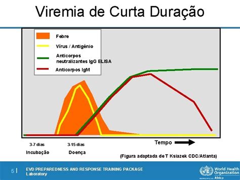 Laboratrio Diagnstico Amostra E Transporte Evd Preparedness