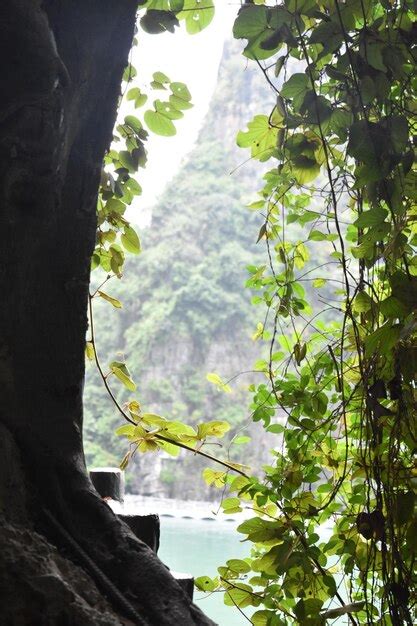 Premium Photo Landscape Of Halong Bay Vietnam