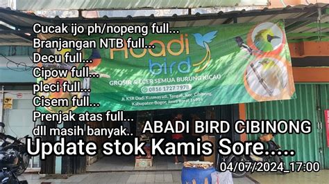 Update Stok Kamis Sore Jam Abadi Bird Cibinong Masih Full Stok