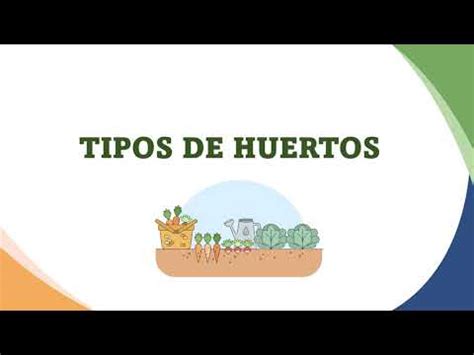 Tipos De Huertos Urbanos Una Gu A Completa La Casa De La Huerta