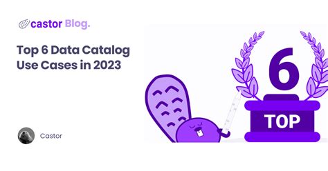 Top 6 Data Catalog Use Cases in 2023 - Castor Blog