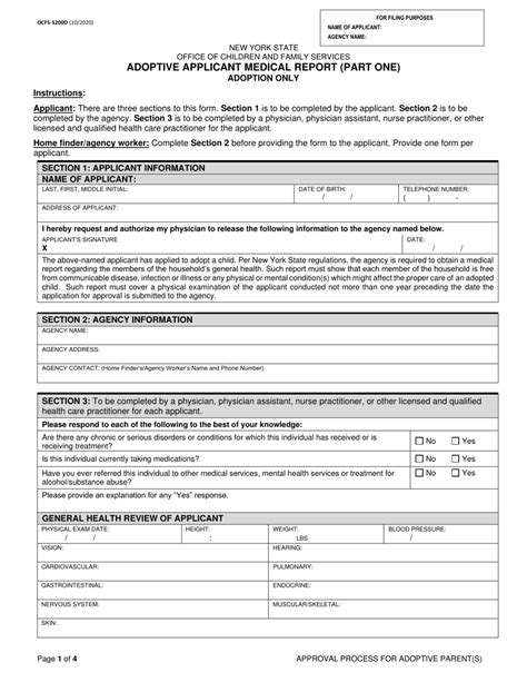 Form Ocfs 5200d Fill Out Sign Online And Download Printable Pdf New York Templateroller