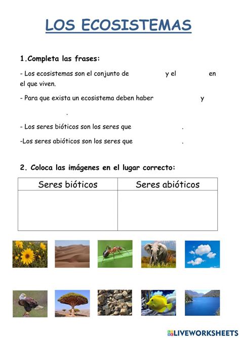 Ficha interactiva de Los ecosistemas para 3º Primaria Puedes hacer los