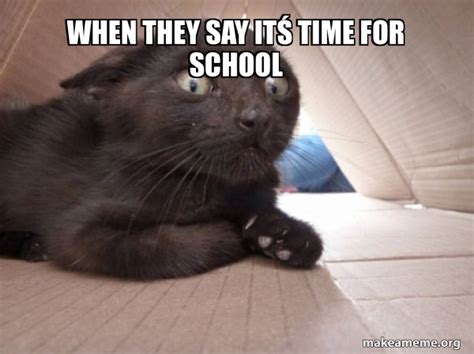 when they say itś time for school - Schitzo Cat Meme Generator 