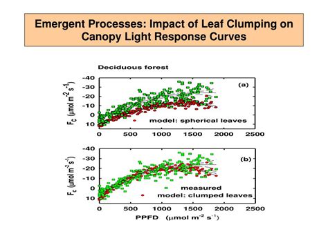 Ppt Dennis Baldocchi Biometeorology Lab Espm University Of California