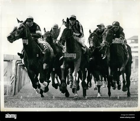 Five horses forty four hooves hi-res stock photography and images - Alamy