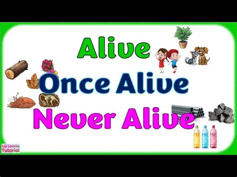 Alive Once Alive Never Alive Living Non Living Things For