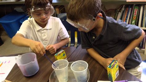 Third Grade LS Science Lab YouTube