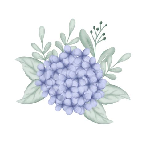 Watercolor Hydrangeas Png Image Beautiful Blue Watercolor Hydrangea