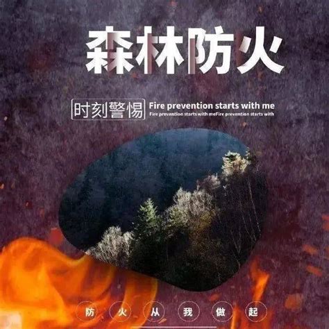 【森林防火】防火于未“燃”！严查严处违规野外用火宿某火灾杂草