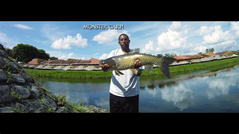 Huge Grass Carp Caught In Miami 25lb Youtube