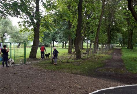 Din Parcul De Joac Pentru C Ini Din C Mpia Turzii A Mai R Mas Doar