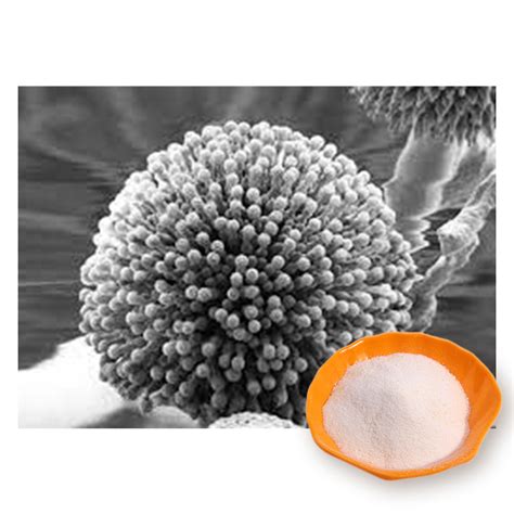 Natural Water Resolvable Vegetal Soluble Chitin Aspergillus Niger