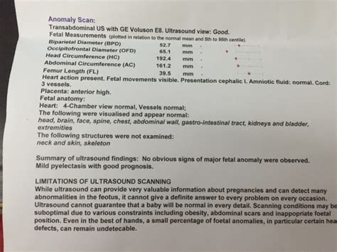 Independent Me Pregnancy Diary 22 Weeks Check Up And Anomaly Scan