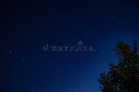 Constellations Ursa Minor Ursa Major And Dragon Stock Image Image Of