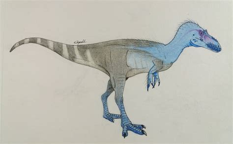 Alioramus Altai By Cryoll On Deviantart
