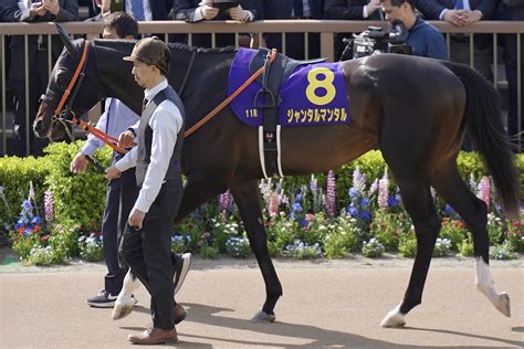 🏃🏾今年のnhkマイルcに「豪華メンバー」集結？エルコンドルパサー、キングカメハメハ級は不在も例年以上にハイレベルの激戦か スポーツ