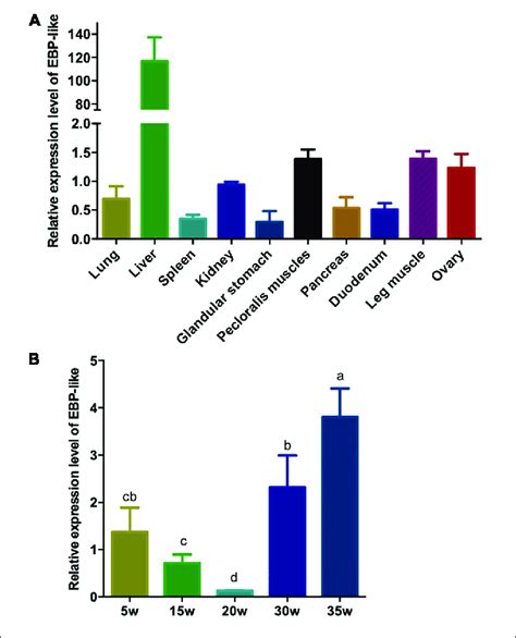 EBP Like Spatiotemporal Expression Profiles A The Relative