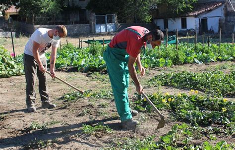 Inscripciones Abiertas Para La Nueva Acción En Agricultura Ecológica De