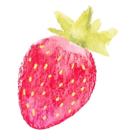 Premium Vector Strawberry Watercolor Png