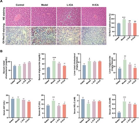 Figure 2 From Icariin Alleviates Nonalcoholic Fatty Liver Disease In