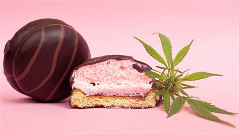 Cannabis Edibles Exploring Their Impact On The Body Novus