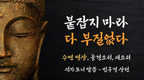 법구경 상편 수면 명상을 위한 부처님 말씀 1시간 40분 불교 명언 인생조언 오디오북 Asmr Youtube