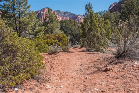 Desert Hiking Trail with Red Cliffs Stock Photo - Image of footpath ...