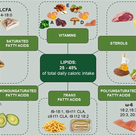 Dietary lipid sources, average daily intake, and main dietary sources ...