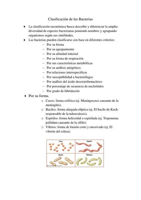 Clasificación de las Bacterias Maria Rojas uDocz