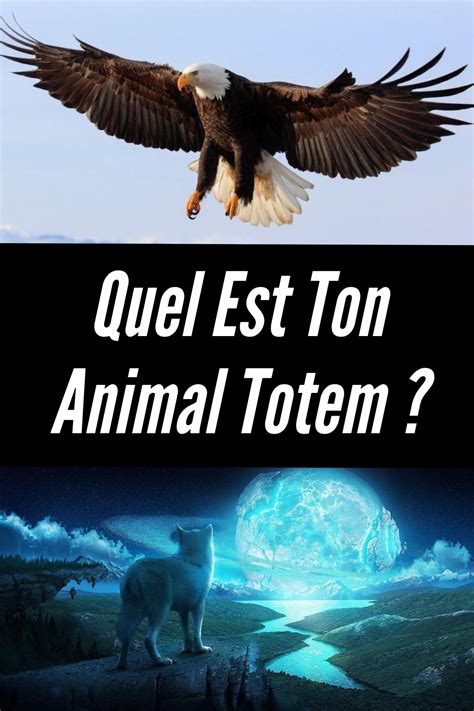 Tout Le Monde Parle Des Animaux Totems De Nos Jours Une Croyance