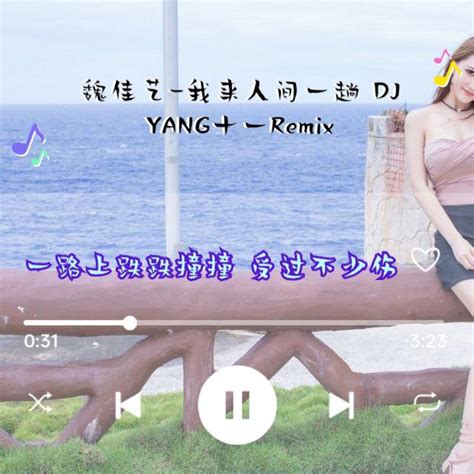 魏佳艺 我来人间一趟 Dj Yang十一remix Yang十一 单曲 网易云音乐