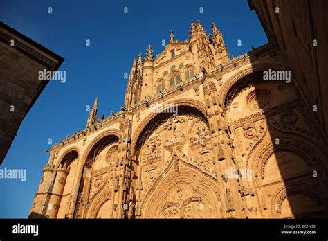 Portada Principal De La Catedral De Salamanca Castilla Le N Espa A