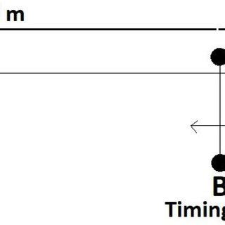 Diagram of 505-agility test protocol. | Download Scientific Diagram