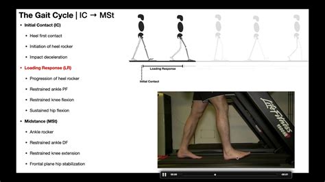 Knee Angle Gait Cycle