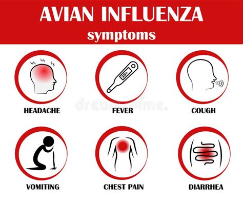 Avian Influenza Virus Subtype H5n1 H9n2 H5n8 H5n6 H7n3 In Poultry