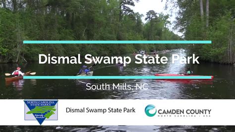 Dismal Swamp State Park