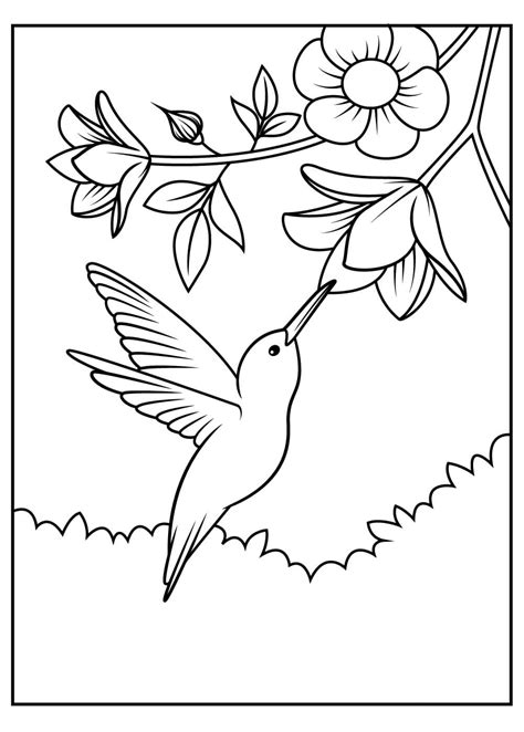 Colibrí con Flor para colorear imprimir e dibujar ColoringOnly