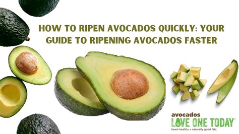 How To Ripen Avocados Quickly Your Guide To Ripening Avocados Faster